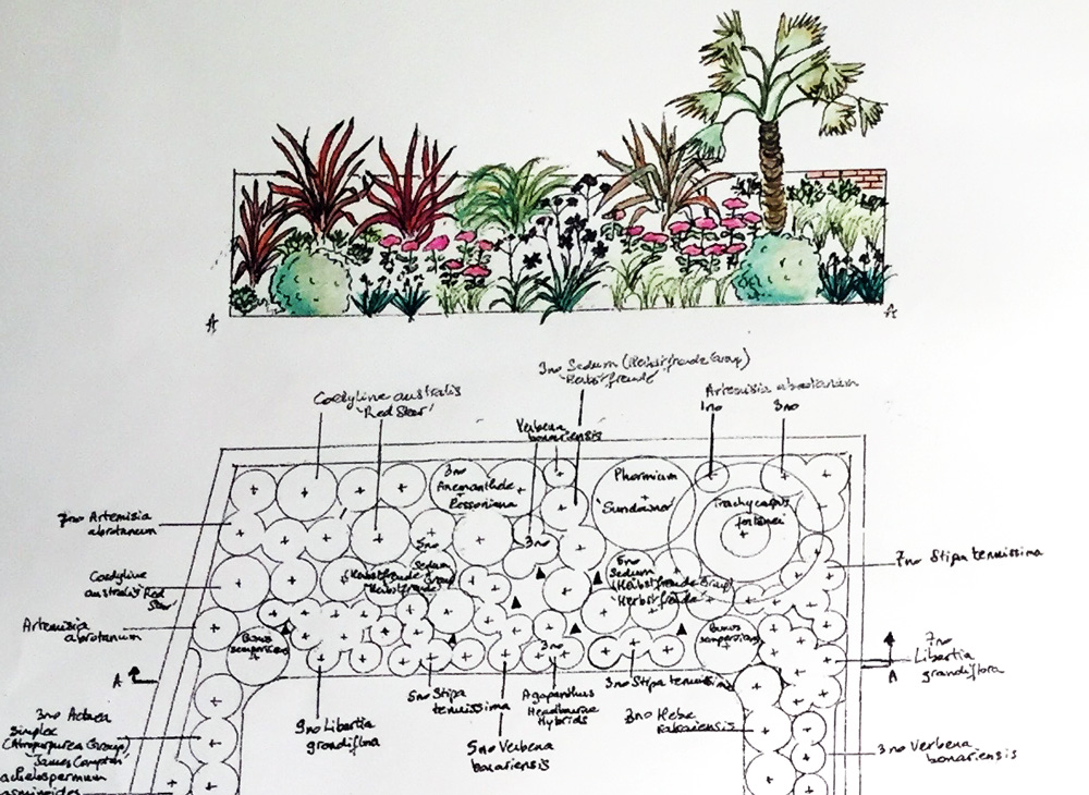 Square-Garden-Design-London-service-planting-plan