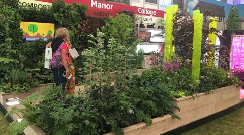 Welcome to Square Garden Design • Square Garden Design